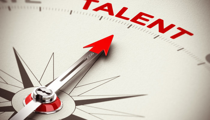 Corp-to-Corp Software Development Talent: Risk Aversion, Bias, or Missed Opportunity?